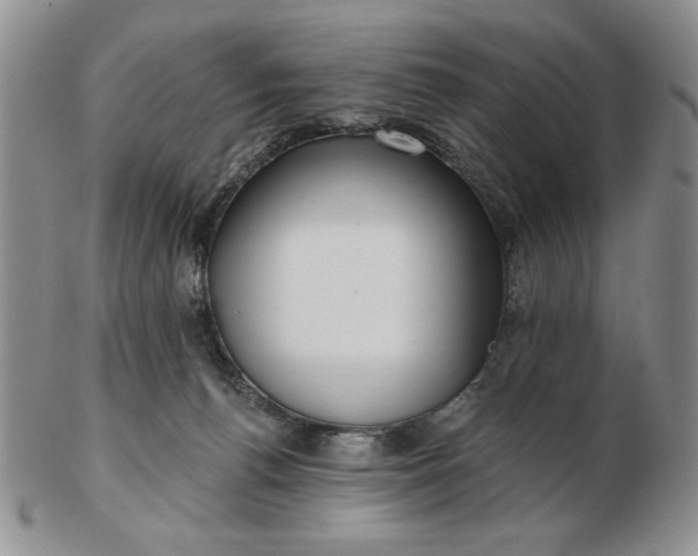 X0000103150176200809051645