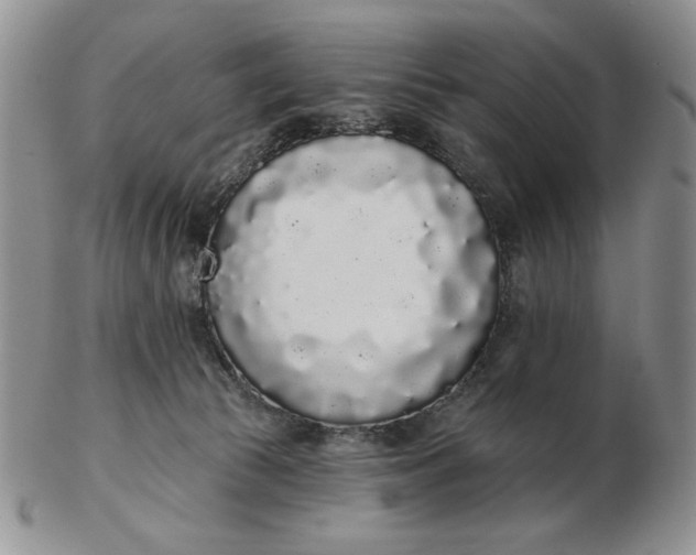 X0000103150177200809051645