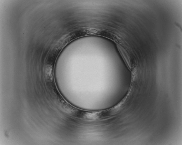 X0000103150178200809051645