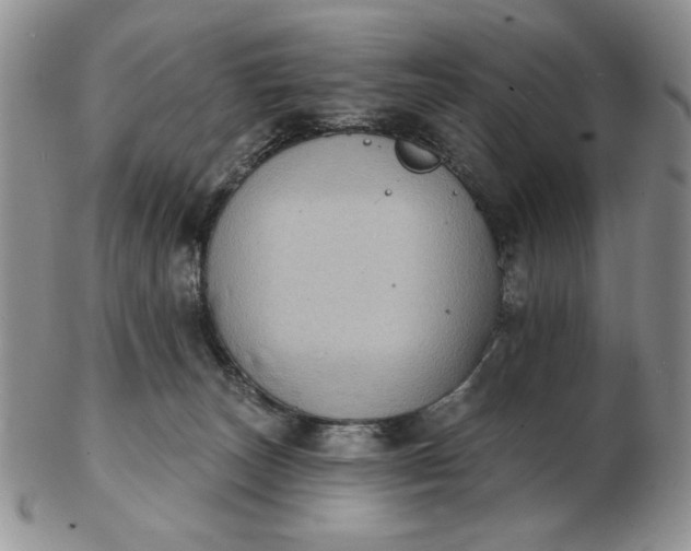 X0000103150179200809051645