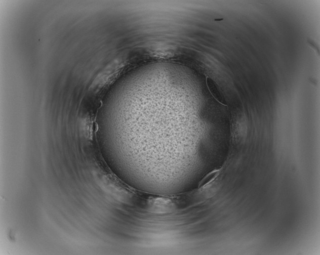 X0000103150180200809051645