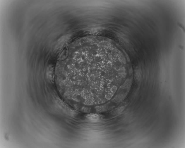 X0000103150181200809051645