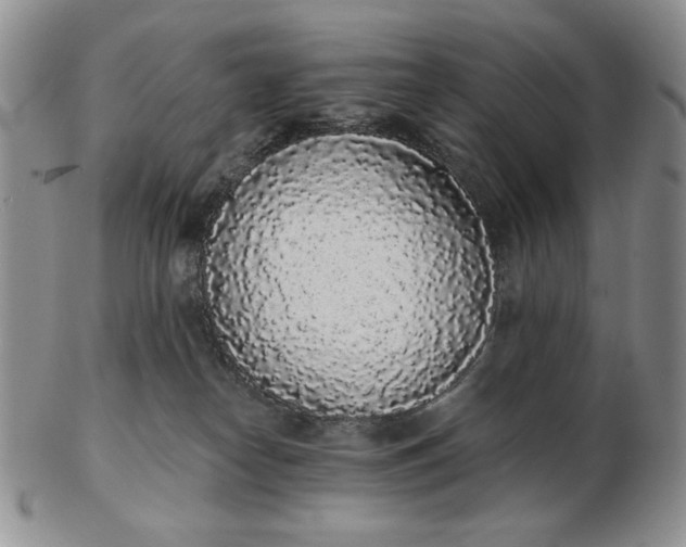 X0000103150182200809051645