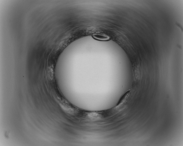 X0000103150183200809051645