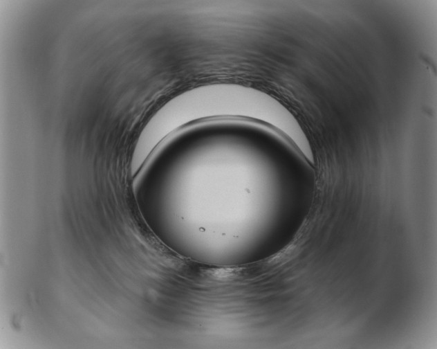 X0000103150184200809051645