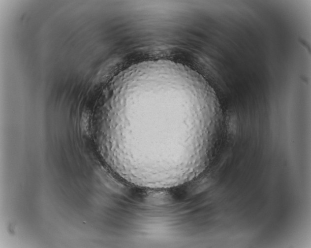 X0000103150185200809051645