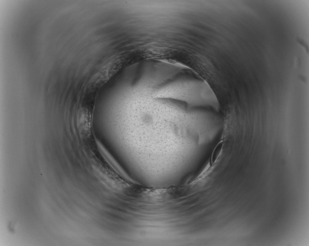 X0000103150186200809051645