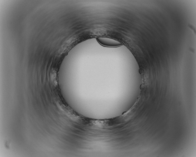 X0000103150187200809051645