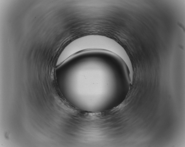 X0000103150188200809051645