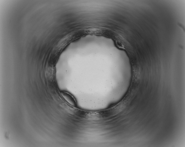 X0000103150189200809051645