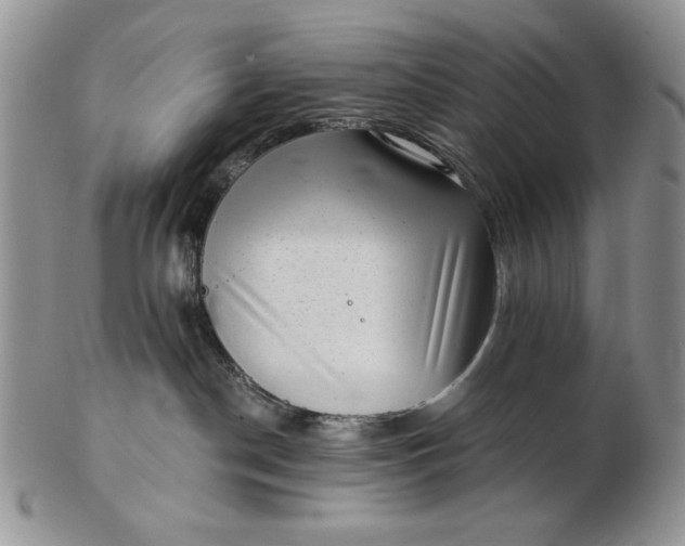 X0000103150190200809051645