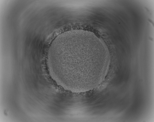 X0000103150192200809051645