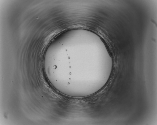 X0000103150193200809051645