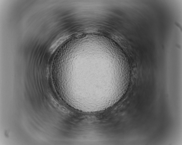 X0000103150194200809051645