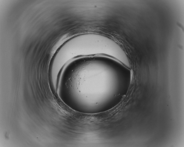 X0000103150195200809051645