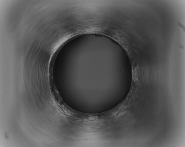 X0000103150196200809051645