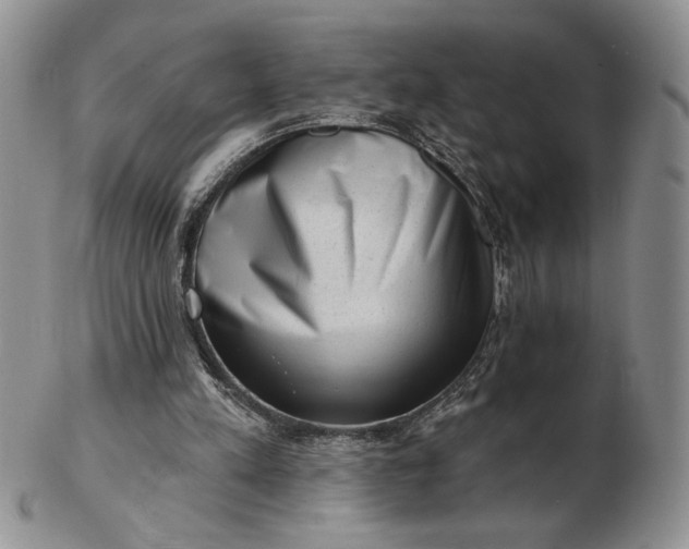 X0000103150197200809051645