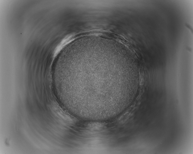 X0000103150198200809051645