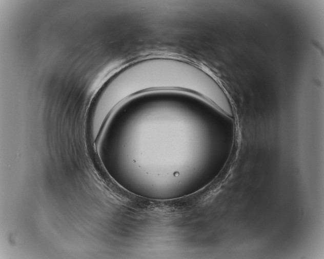 X0000103150199200809051645