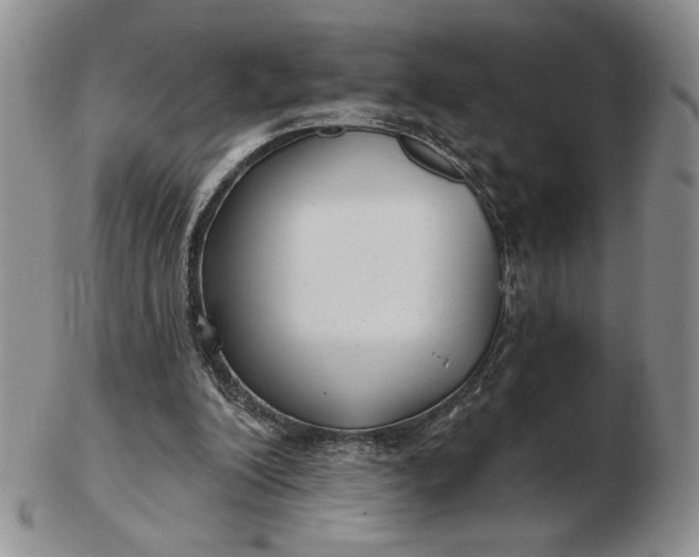 X0000103150200200809051645