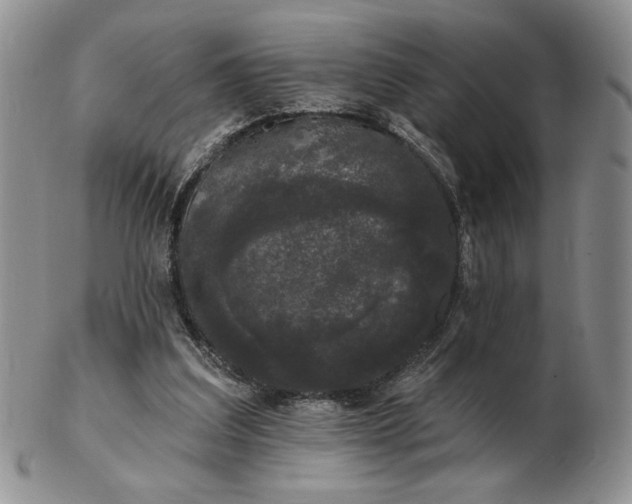 X0000103150203200809051644