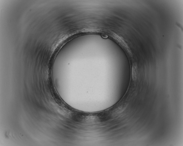 X0000103150204200809051644