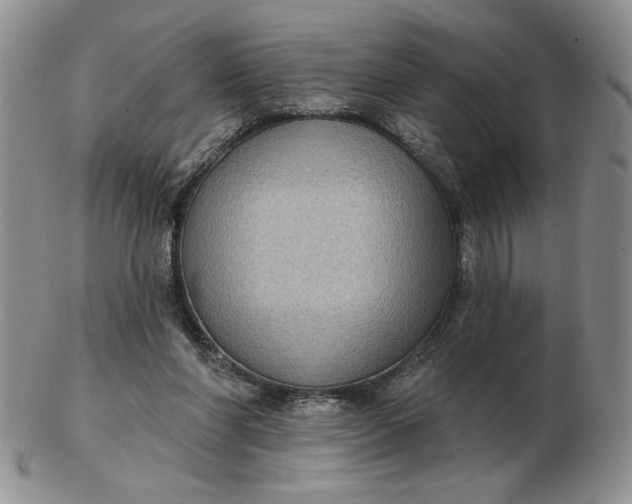 X0000103150206200809051644