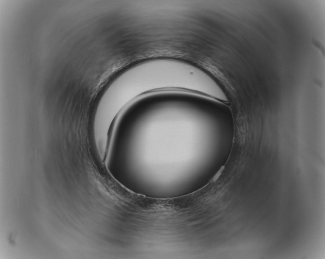 X0000103150207200809051644