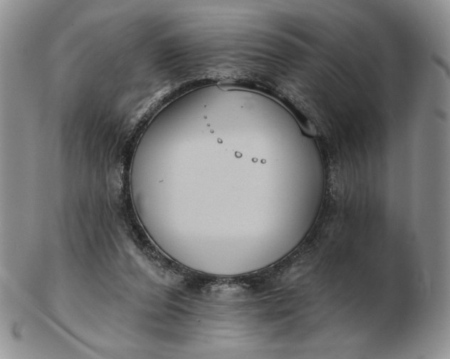 X0000103150208200809051644