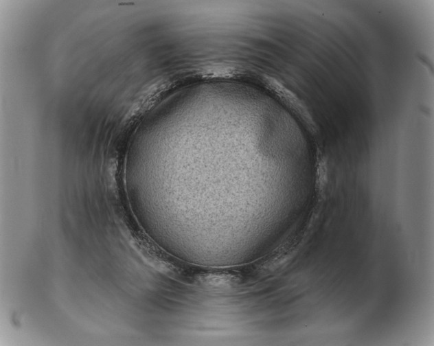 X0000103150209200809051644