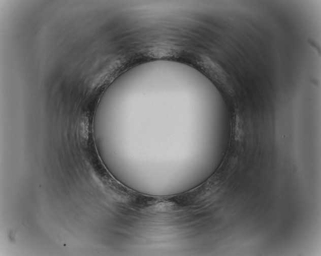 X0000103150210200809051644