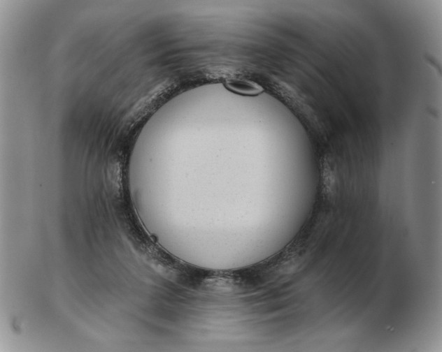 X0000103150211200809051644