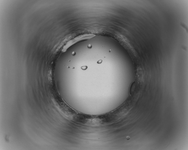 X0000103150212200809051644