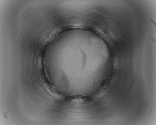 X0000103150213200809051644