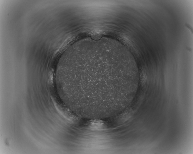 X0000103150214200809051644