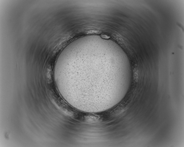 X0000103150215200809051644