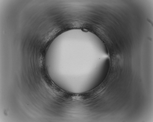 X0000103150216200809051644