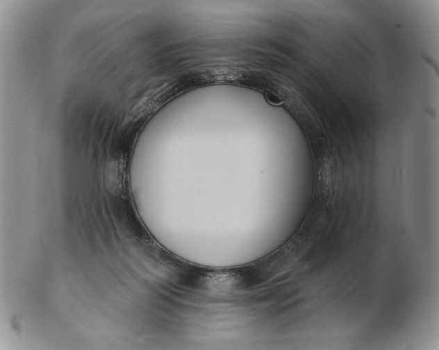 X0000103150218200809051644