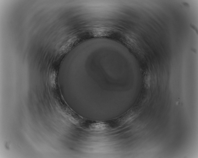 X0000103150219200809051644