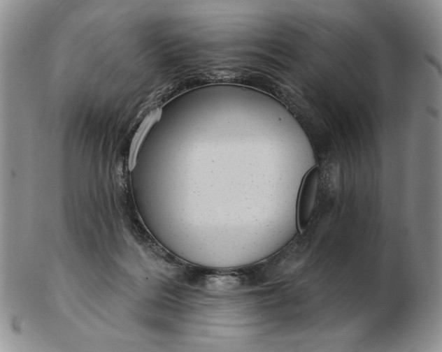 X0000103150220200809051644