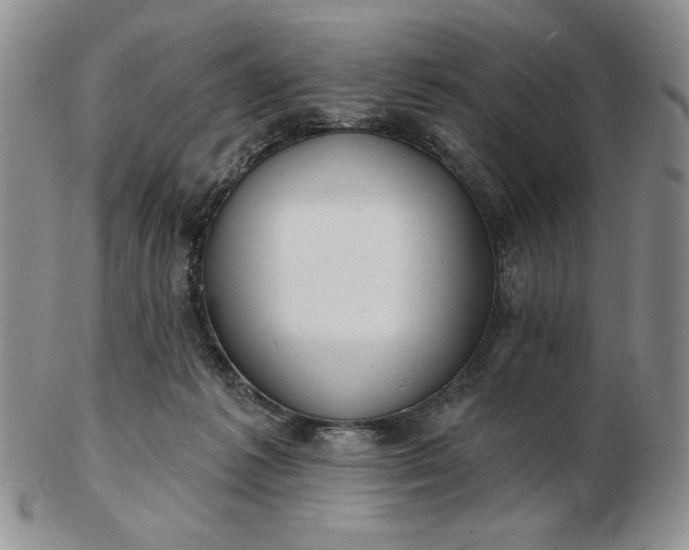 X0000103150221200809051644