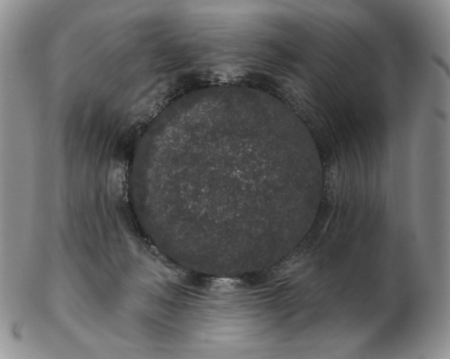 X0000103150222200809051644