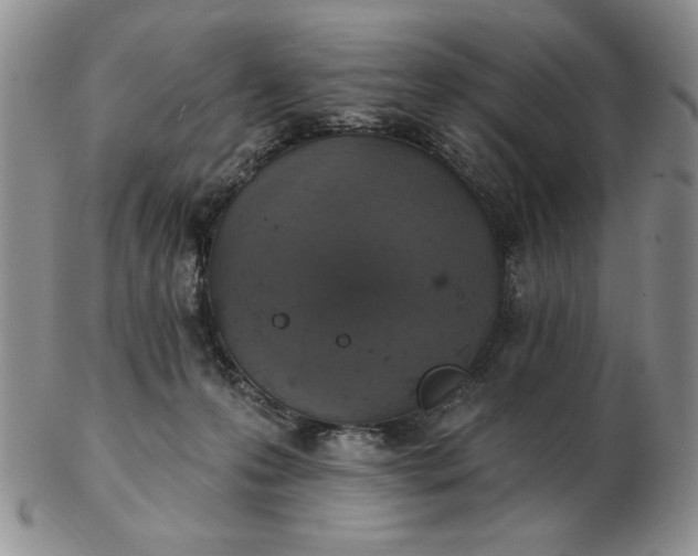 X0000103150223200809051644