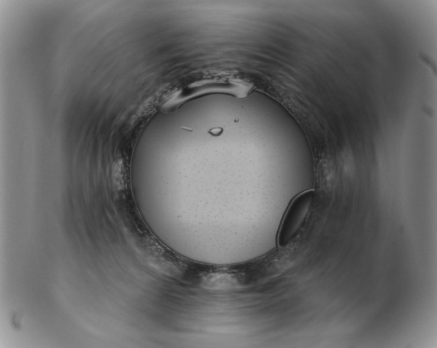 X0000103150224200809051644