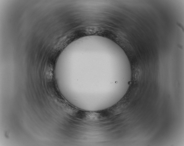 X0000103150226200809051644