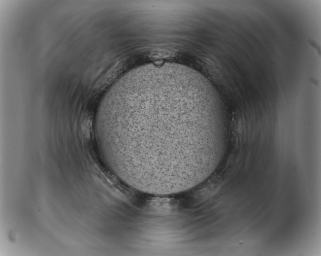 X0000103150227200809051644