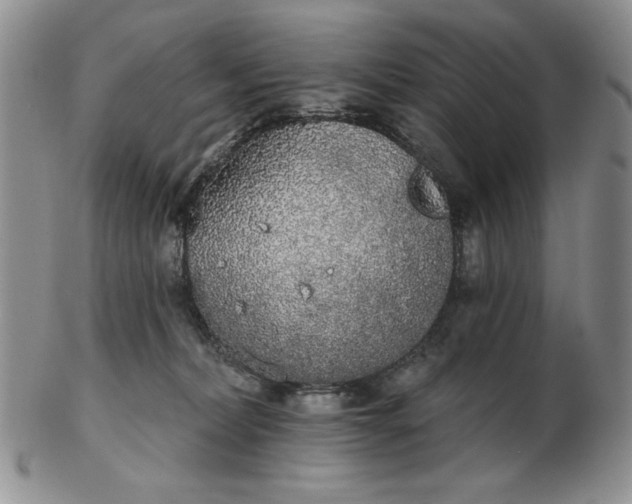 X0000103150228200809051644