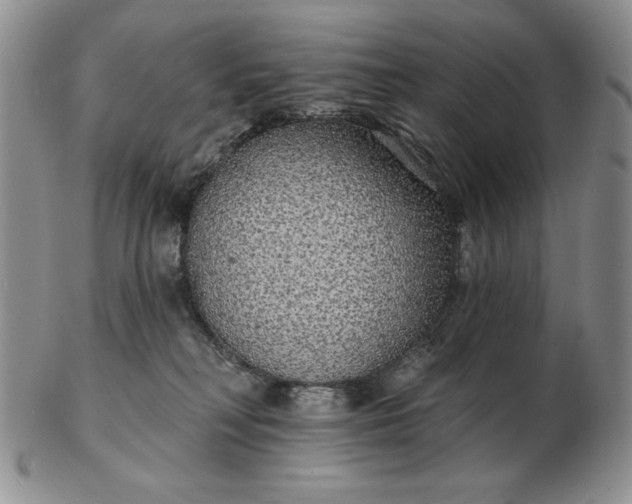 X0000103150230200809051644