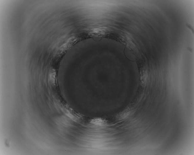 X0000103150231200809051644