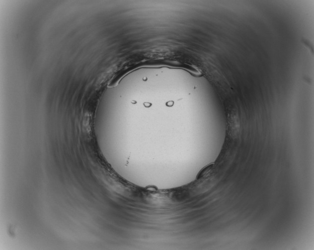 X0000103150232200809051644